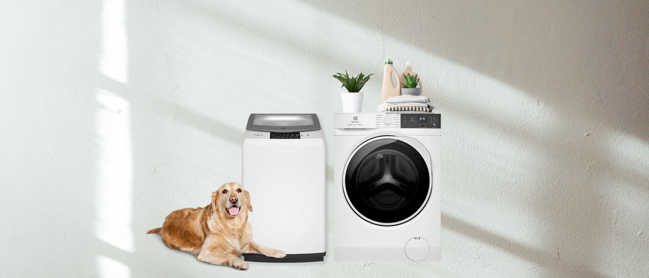 Washer Capacity ≥9kg