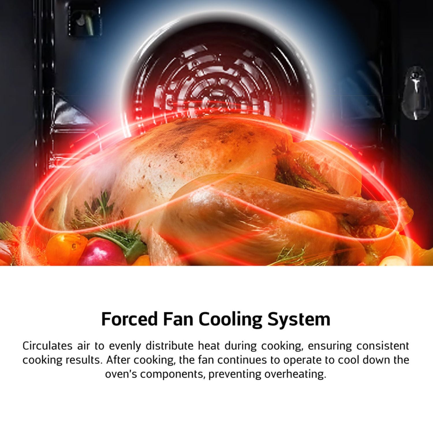 60cm EuropAce EBO3821DBK - 82L Built-in Oven (Mechanical Knob)